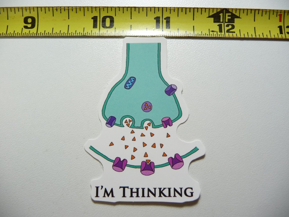 Thinking Synapse Funny Decal Sticker for Teachers Students School College