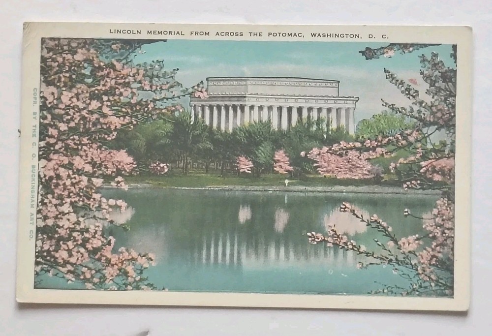 Lincoln Memorial Washington DC Cherry Blossoms Vintage Postcard