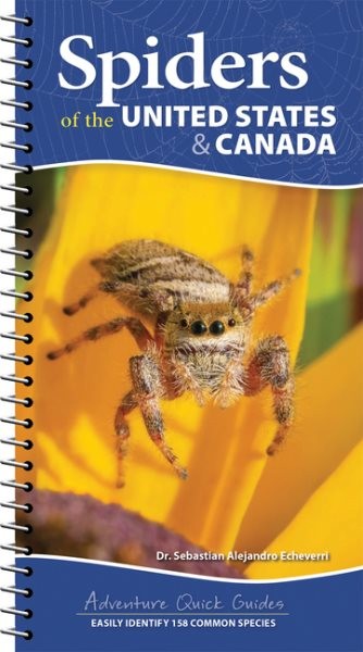 Spiders of the United States & Canada : Easily Identify 153 Common Species, P...
