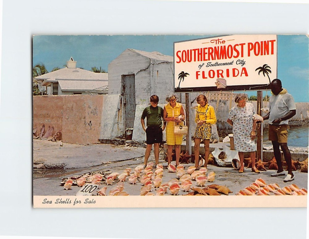 Postcard Sea Shells for Sale Florida USA