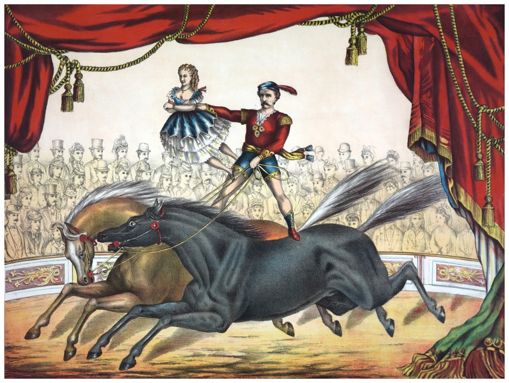 Decor Horse entertainment show Poster. Fine Graphic Art. Circus Wall Design 1281
