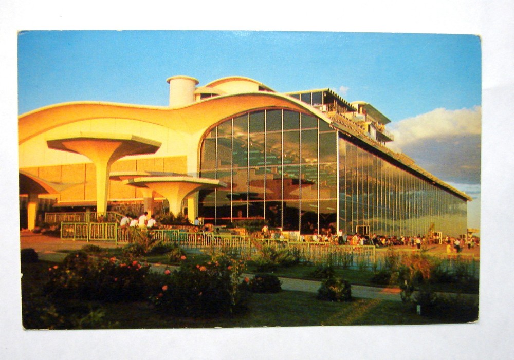 Vintage Postcard 