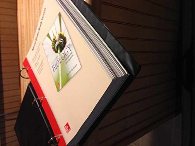 Loose Leaf Version for - Loose Leaf, by Hoefnagels Mariëlle - Acceptable
