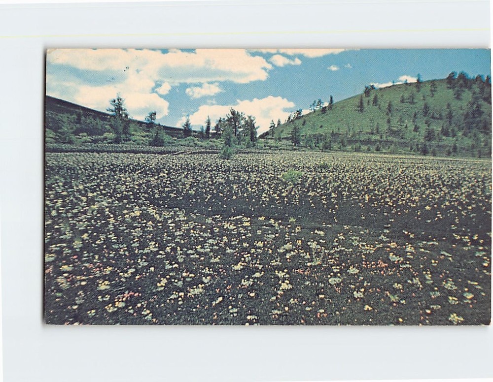 Postcard Craters Of The Moon National Monument Cinder Garden Idaho