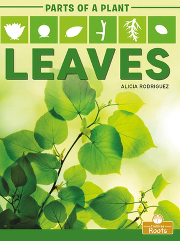 Leaves by Alicia Rodriguez (English) Paperback Book