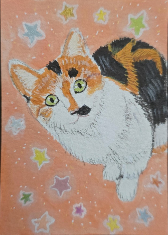 ACEO Original Calico Cat Stars Orange Whimsical Illustration Animals Art