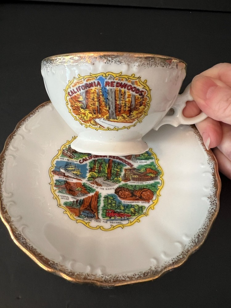 Vintage California Redwoods Souvenir Tea Cup And Saucer Set-Japan