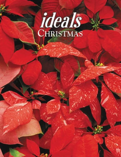 Christmas Ideals 2020 by Melinda Lee Rathjen: Used