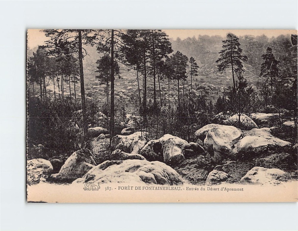 Postcard Désert d'Apremont Fontainebleau Forest in France