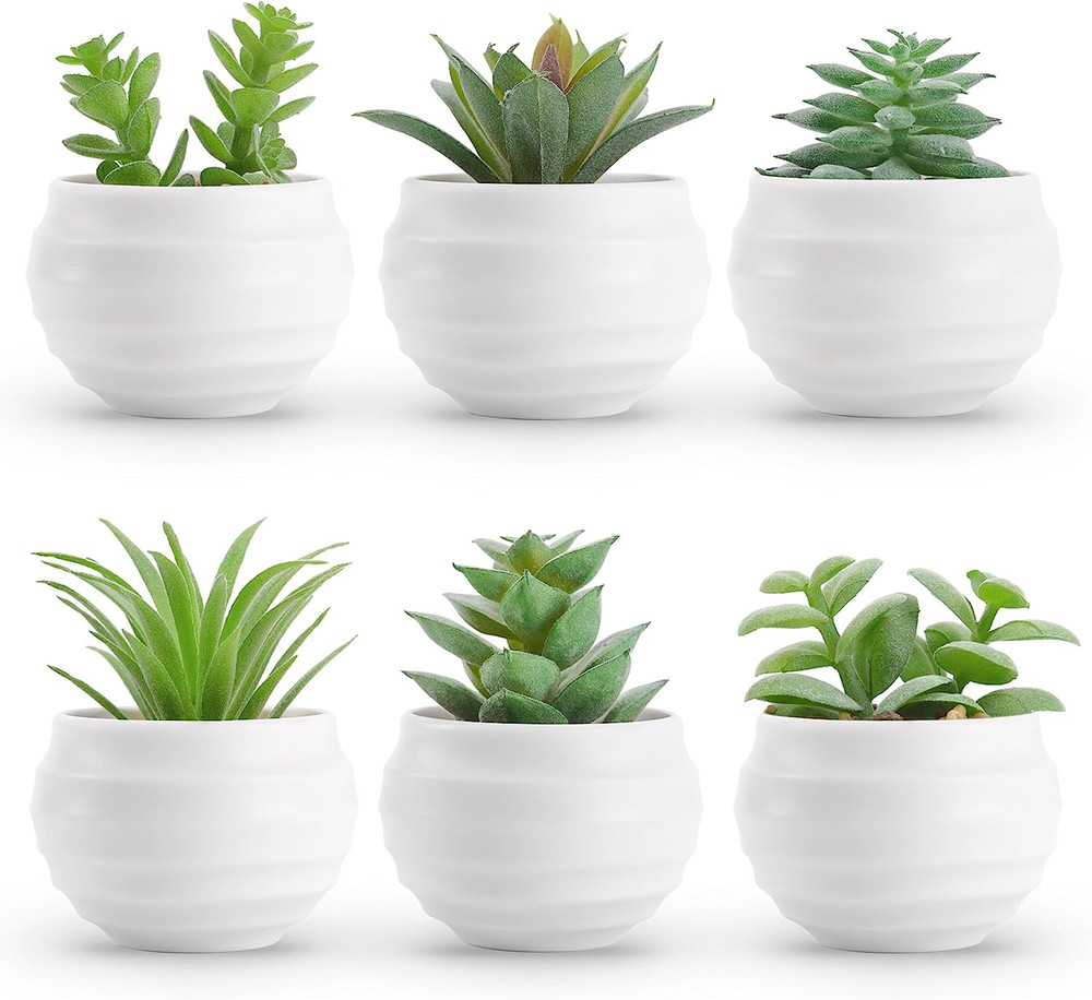 Der Rose Set of 6 Succulents Plants Artificial in Pots Small Fake Plants for Bed