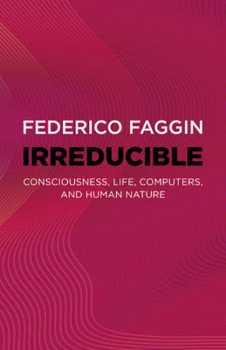 Irreducible: Consciousness, Life, Computers, and Human Nature by Federico Faggin