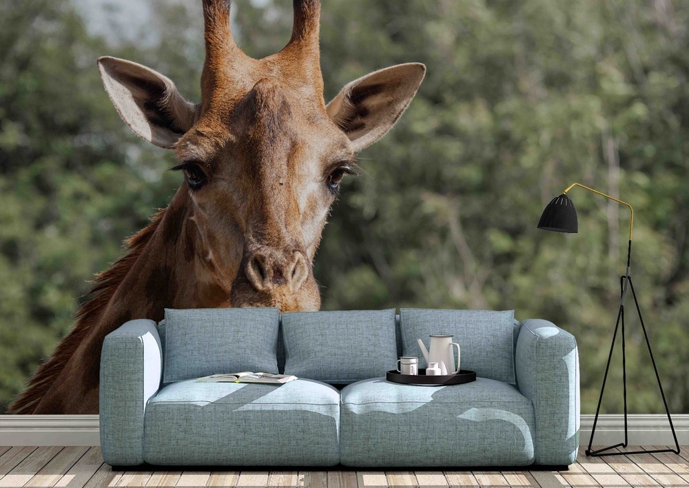 3D Giraffe Animal Close-up Wall Murals Wallpaper Murals Wall Sticker