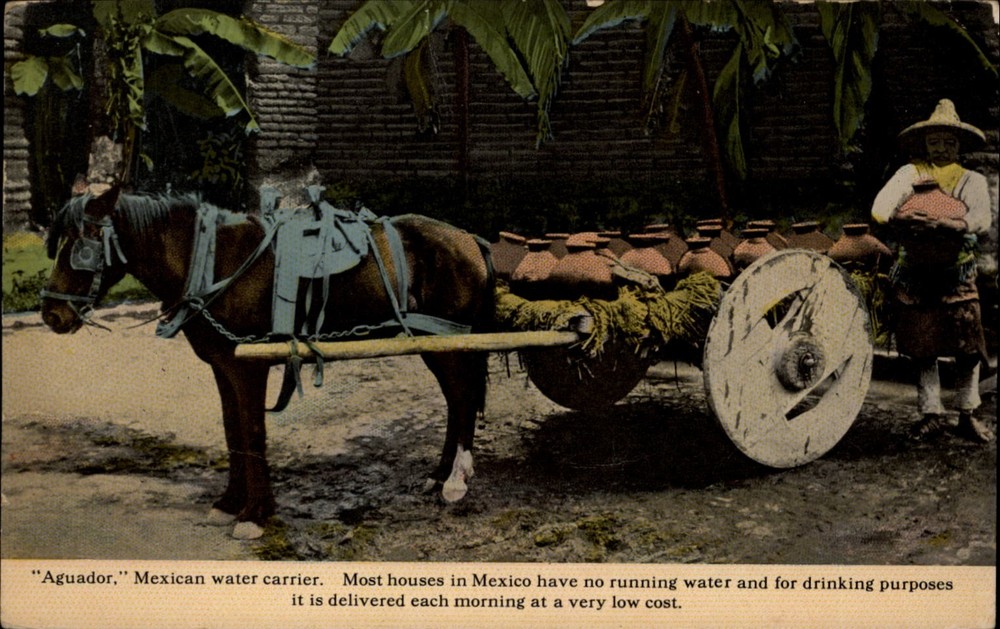 Mexican Water Carrier Mexico City vintage postcard p569