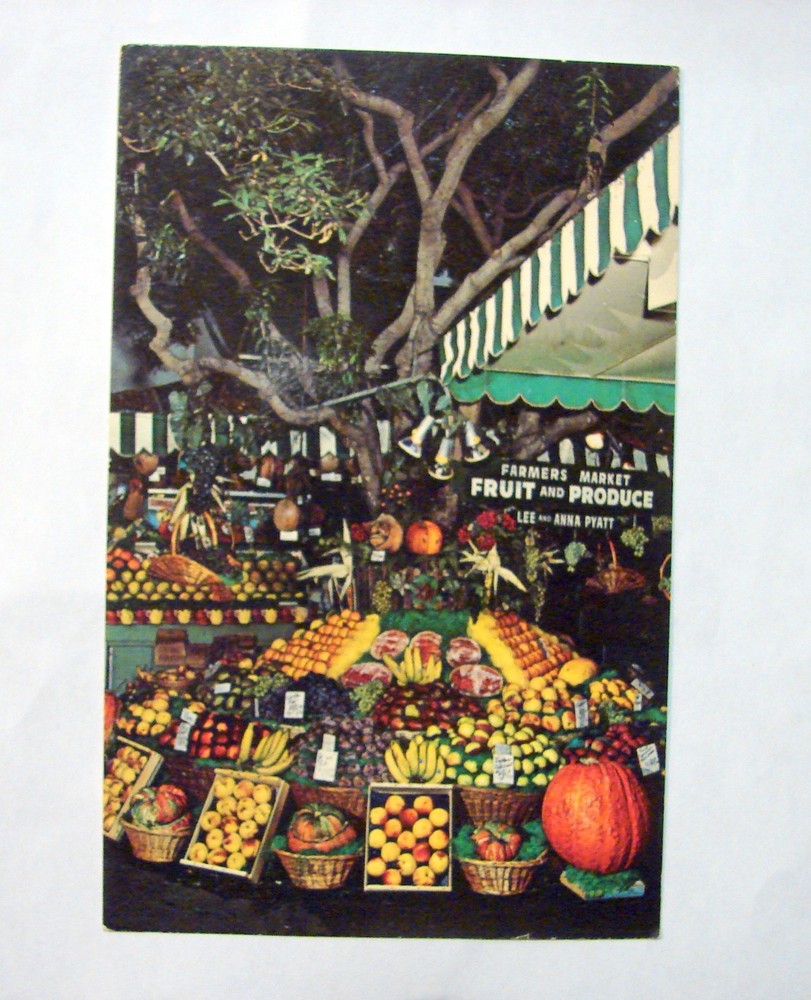 Vintage Postcard 
