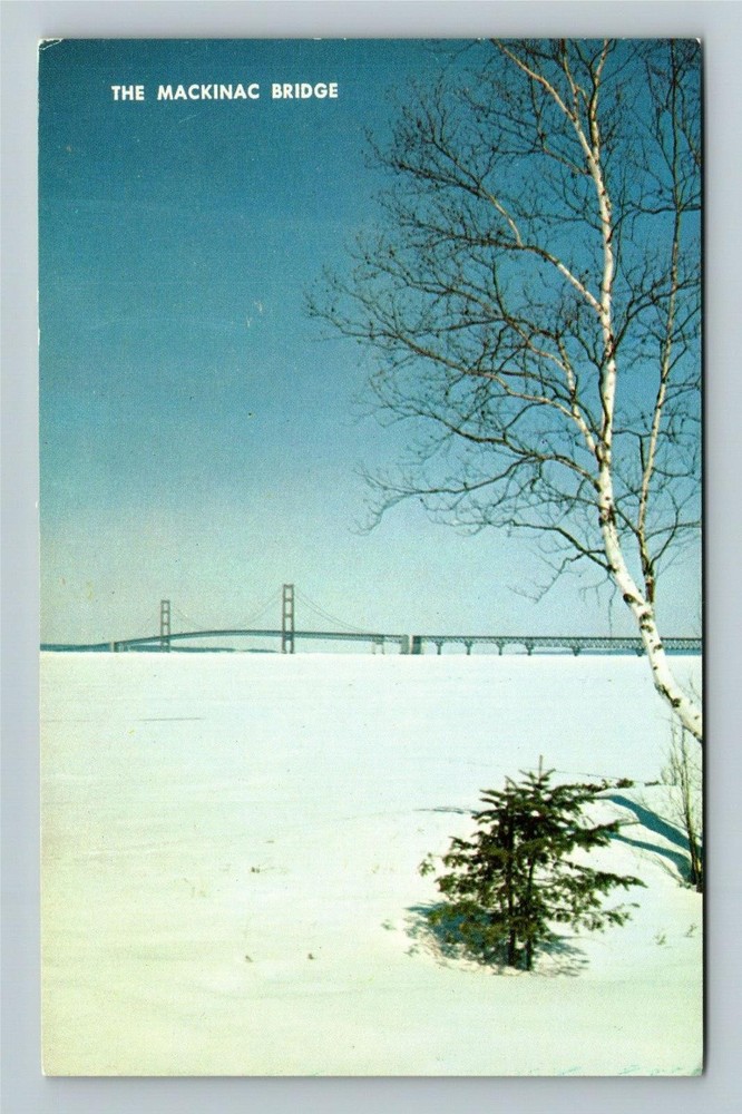 MI-Michigan, The Mackinac Bridge, Distance View, Scenic Vintage Postcard