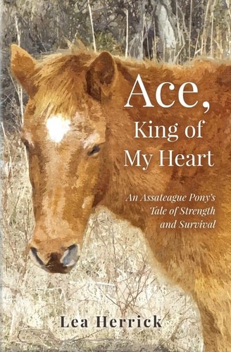 Ace, King of My Heart: An Assateague Pony's Tale of Strength and Survival by Her