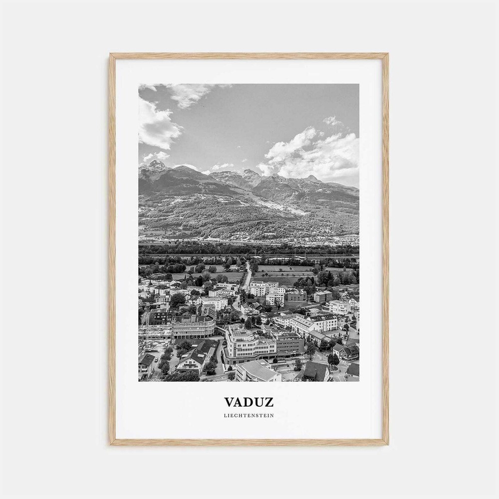 Vaduz Wall Art Vaduz Wall Decor Vaduz Poster Vaduz Home Decor Vaduz Travel Gift
