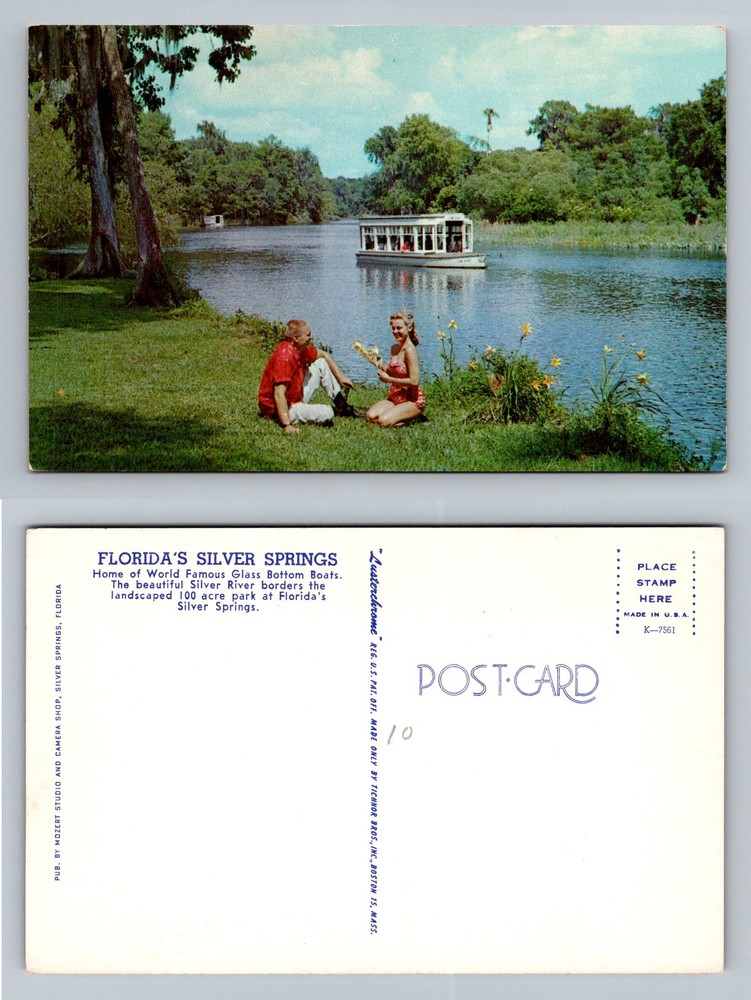 Ocala, FL-Florida, Silver Springs River Glass Bottom Boat Vintage Postcard