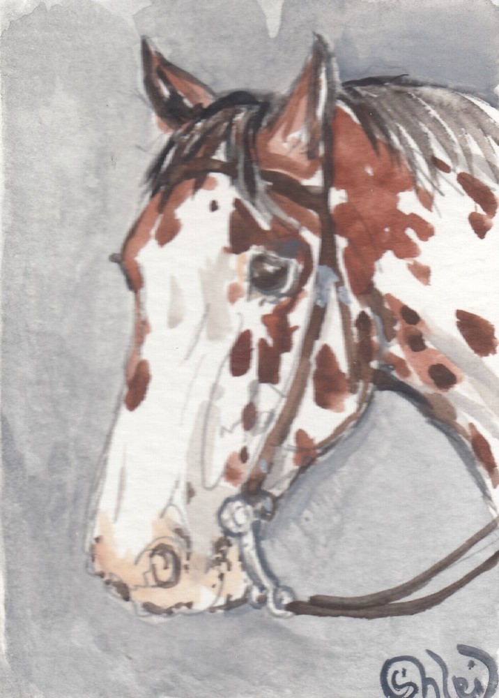ACEO original Watercolor Art Card HORSE bay loud near-leopard Working western