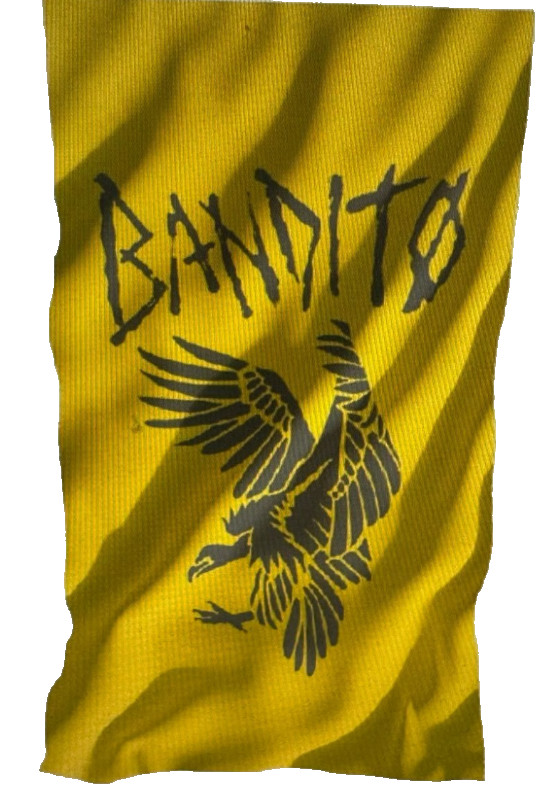 Flag twenty one pilots 21 bandito bird flag 24x36