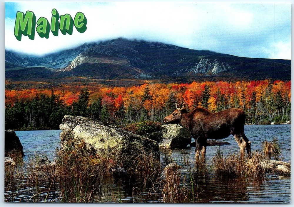 Postcard Baxter State Park Mount Katahdin Range from Sandy Stream Pond Maine USA