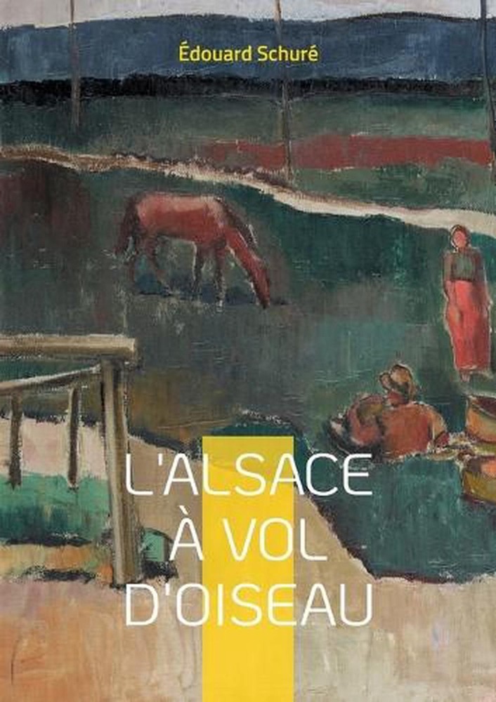 L'Alsace vol d'oiseau: Voyage fascinant au coeur de l'identit? alsacienne - hist