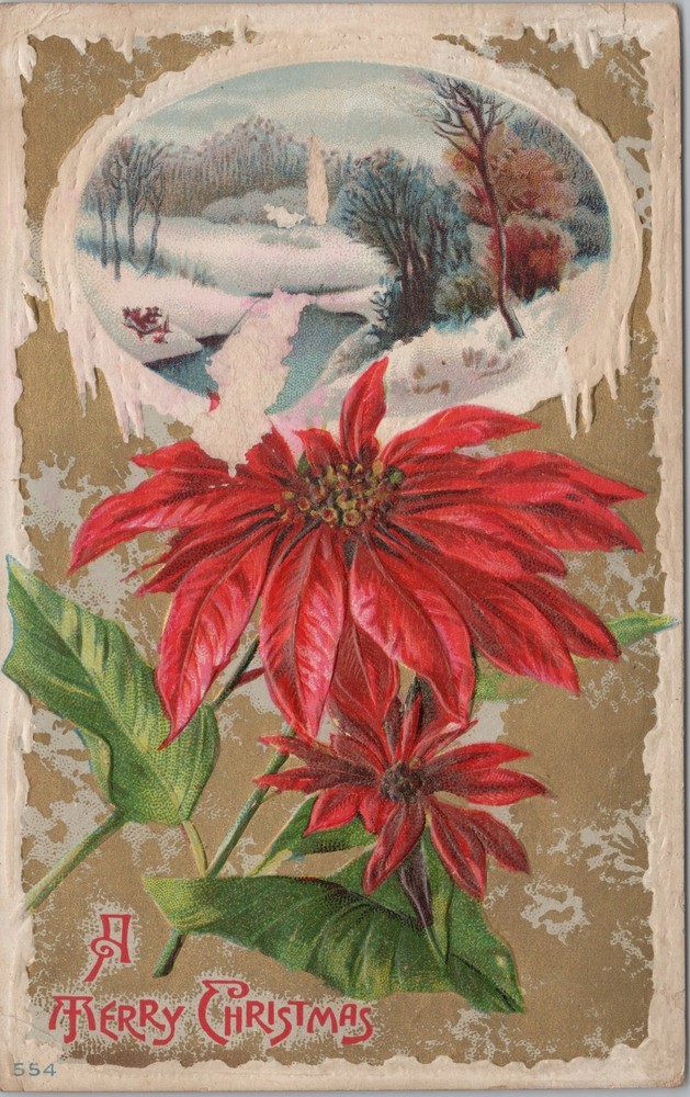 Holiday~Christmas~Winter Landscape Along River~Poinsettias~Vintage Postcard