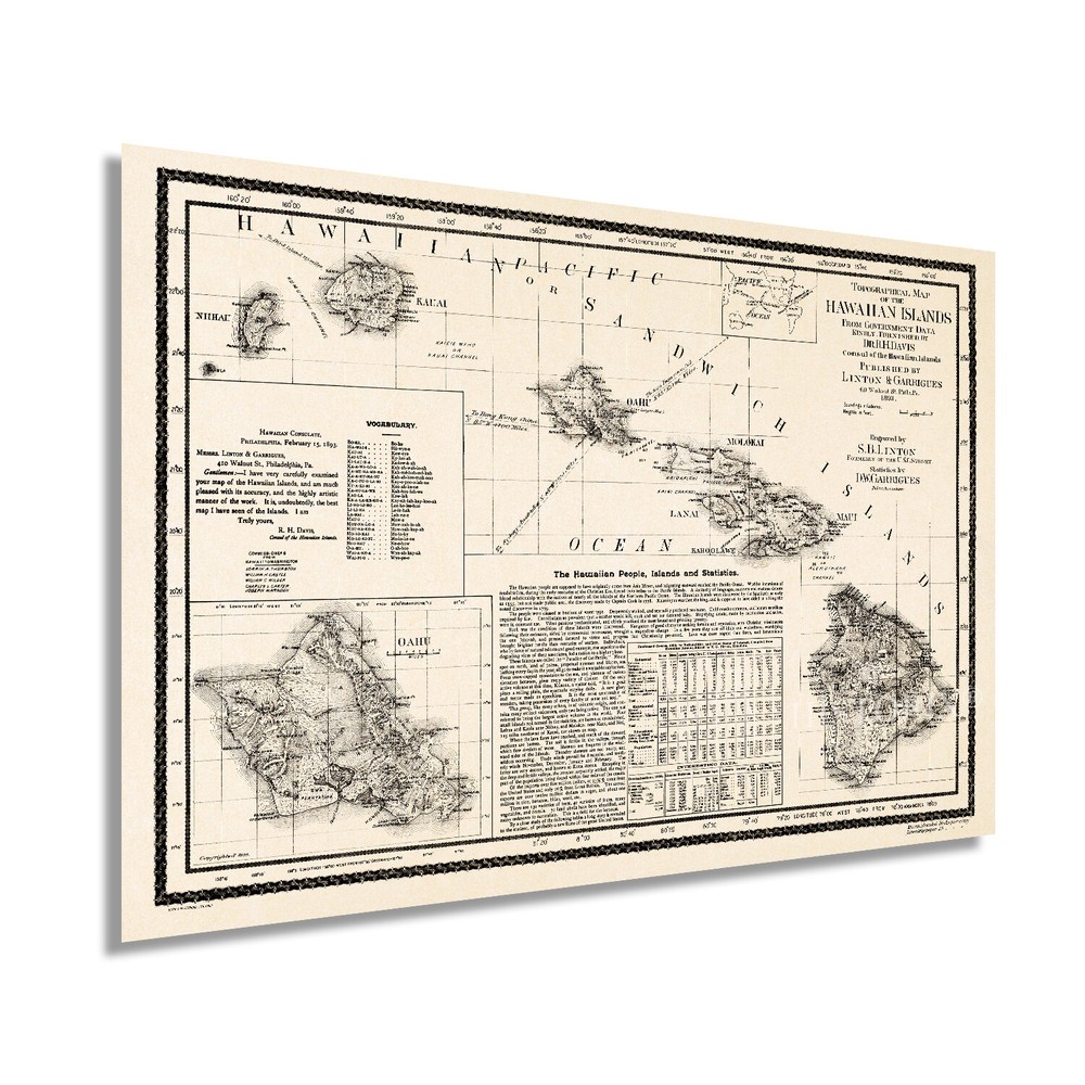 1893 Map of Hawaii Poster - Vintage Topographical Map of Hawaii Wall Art Decor