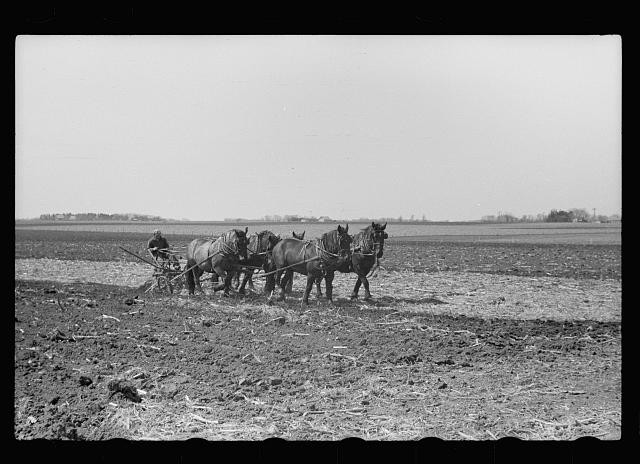 Photo:Grundy County Iowa 1940 Horse Plowing Sod Farm Field