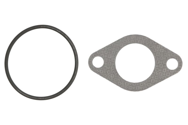 Gasket kit the AGR system for Ibiza III; SKODA FABIA I, FABIA I