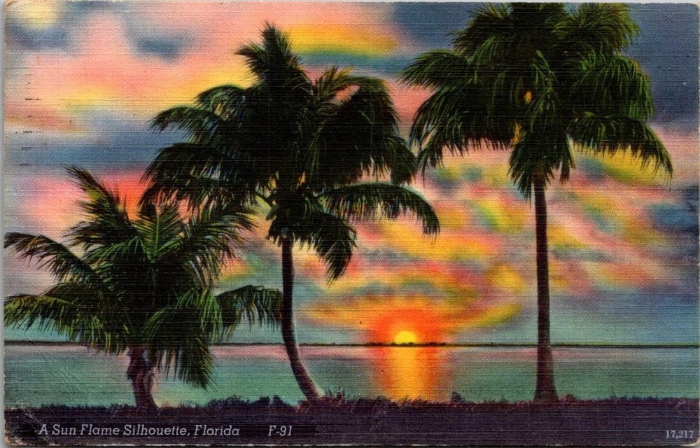 Vintage St. Petersburg Florida Sun Flame Silhouette Palm Trees Linen Postcard