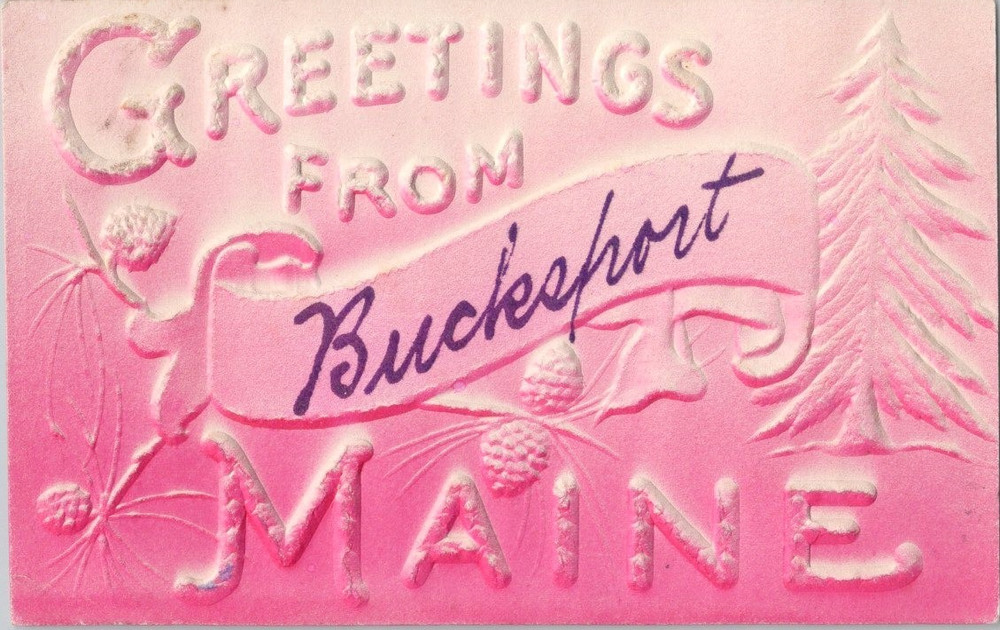 Greetings from Bucksport Maine ME Embossed Airbrushed 1908 Antique Postcard