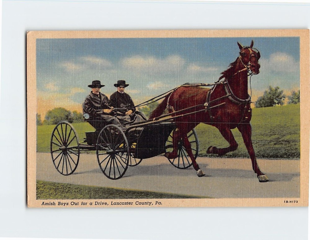 Postcard Amish Horse Buggy Lancaster County Pennsylvania USA North America