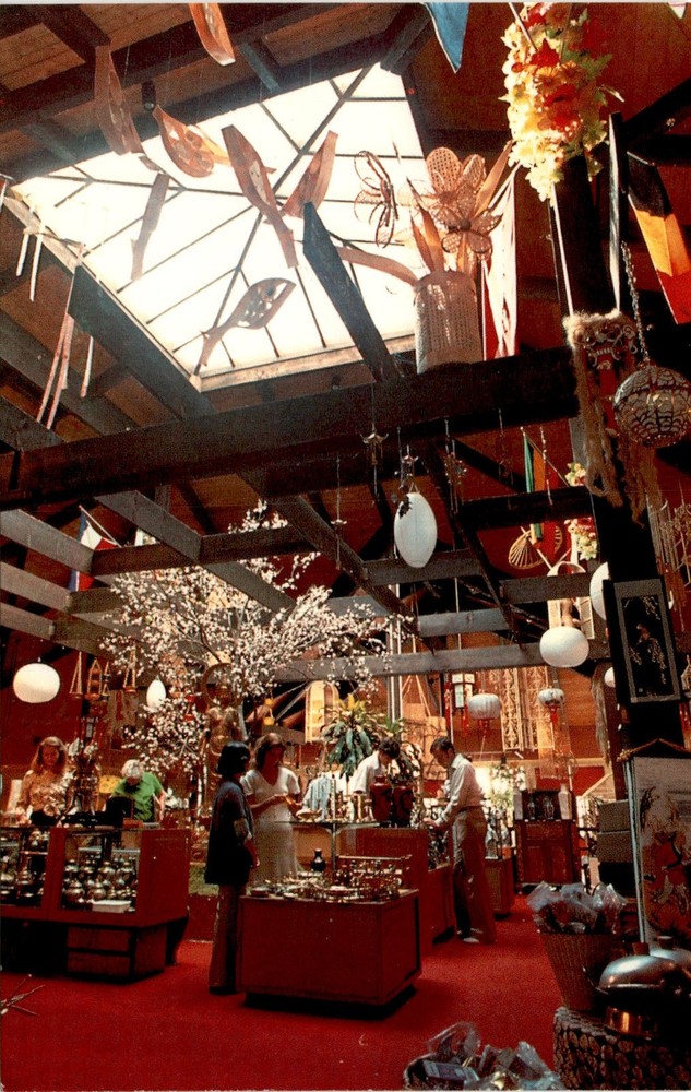 Walt Disney World Vacation Kingdom Postcard