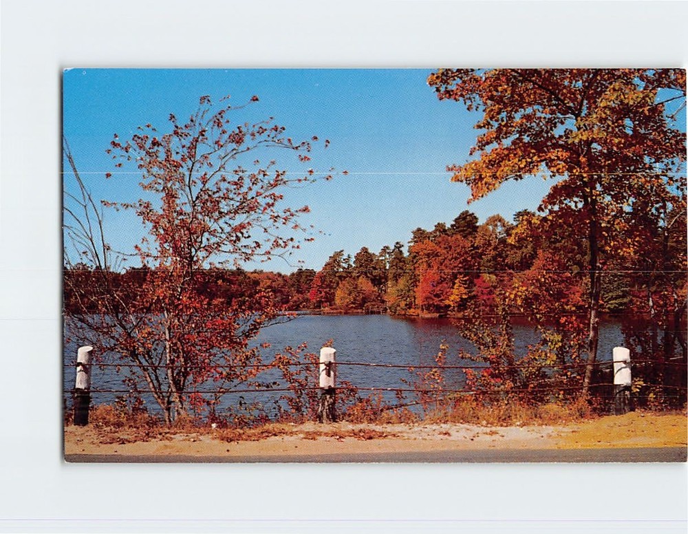 Postcard An autumn scene of Little Pine Lake Browns Mills New Jersey USA