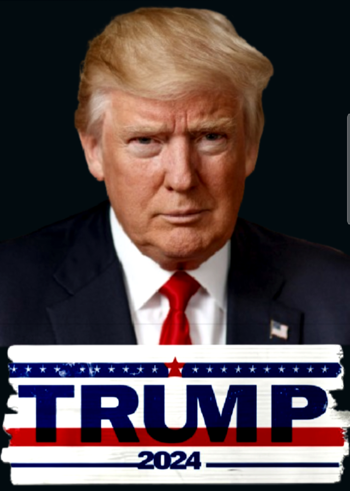 DONALD TRUMP  T-SHIRT ELECTION 2024  mens boys womens girls s L XL XXL new 0009