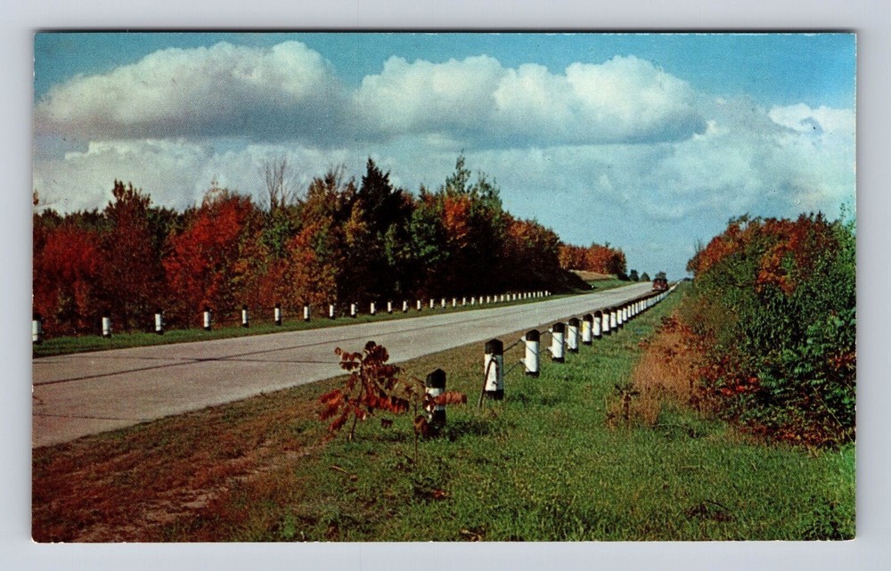 Petoskey MI-Michigan, Scenic Road General Greetings, Antique, Vintage Postcard