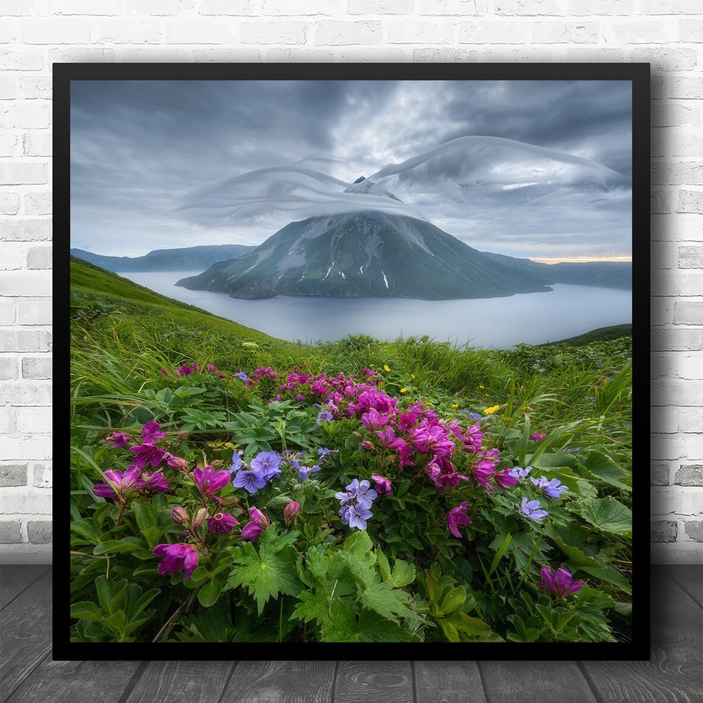 Kuril Onekotan Landscape Flower Flowers Wildflower Wildflowers Square Art Print