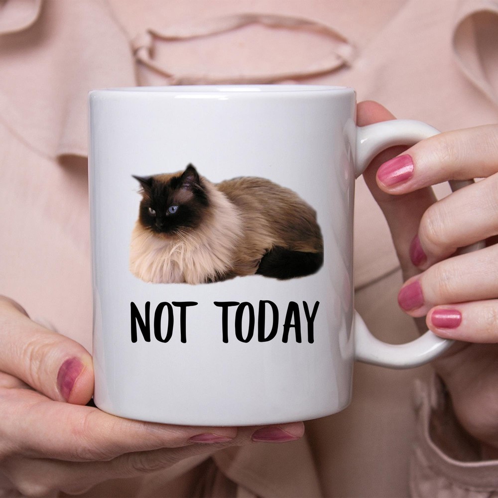 Funny Ragdoll Cat Chocolate Not Today Cat Mug Lazy Gift For Cats Lovers Coffee