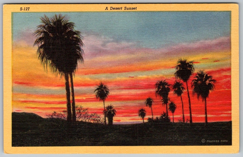 Vtg Linen Postcard Desert Sunset Palm Trees Arizona, US 1940s