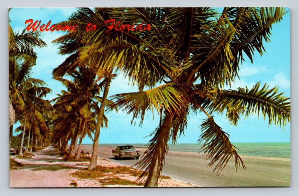 Welcome To Florida Classic Car Driving By Palm Trees & Ocean VINTAGE Postcard