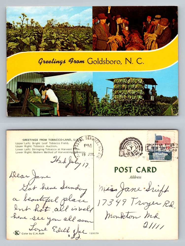 Goldsboro, NC-North Carolina, Banner Greetings Tobacco Harvest Vintage Postcard
