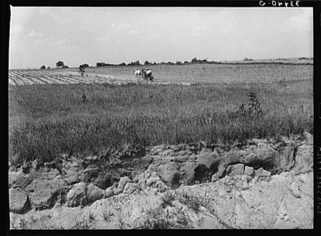 Warner,Oklahoma,OK,Muskogee County,Farm Security Administration,1939,FSA,7