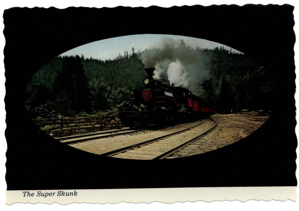 California Fort Bragg Western Railroad's Super Skunk train ~ postcard sku213