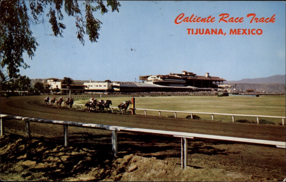 Caliente Race Track Tijuana Mexico vintage postcard s641