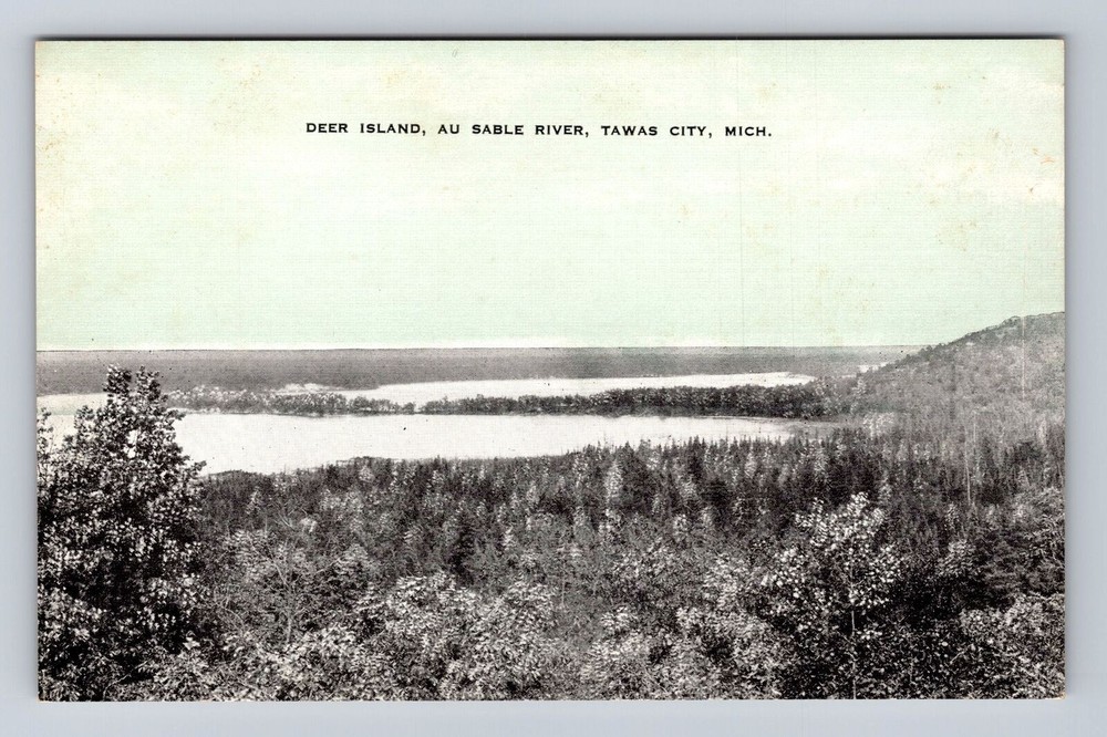 Tawas City MI-Michigan, Deer Island, Au Sable River, Antique Vintage Postcard