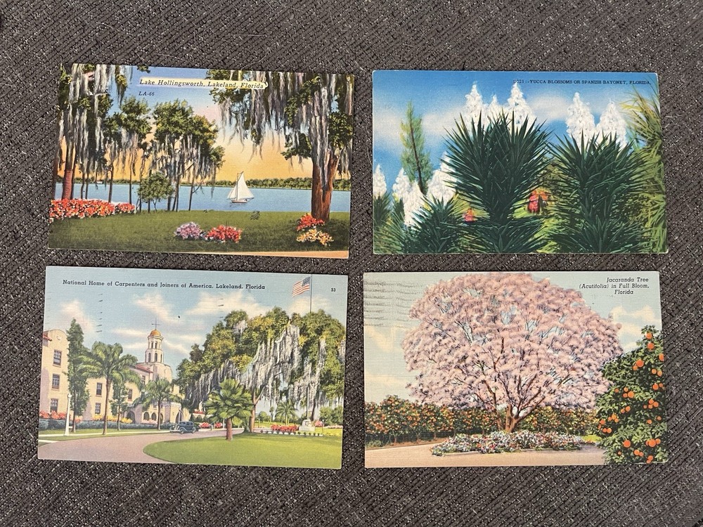 Vintage Linen Postcards Florida-Lakeland•St. Petersburg•New Port Richey Views