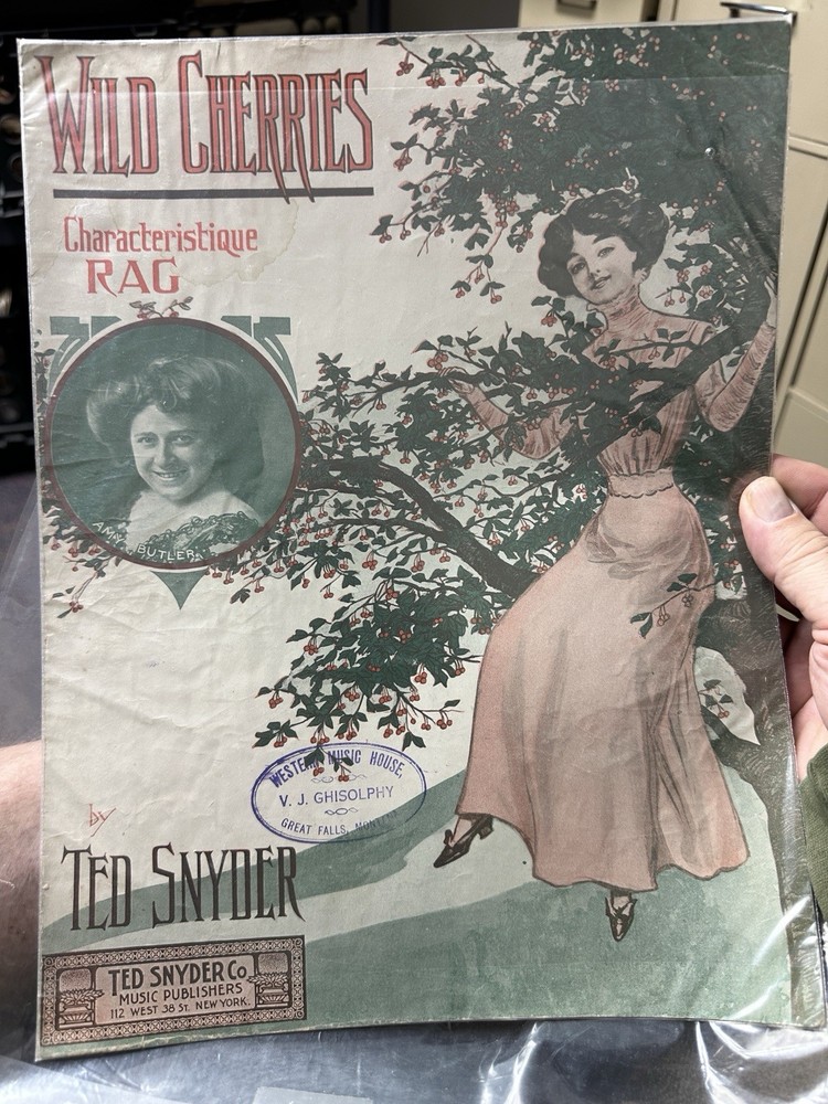 1908 Ted Snyder ragtime sheet music  (11x14) WILD CHERRIES RAG