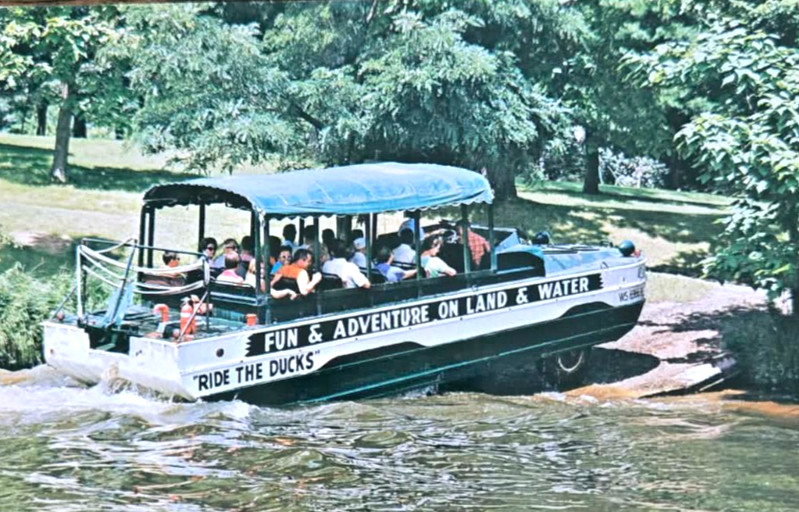 Postcard Duck Leaving Lake Delton At Dawn Manor Wisconsin Dells