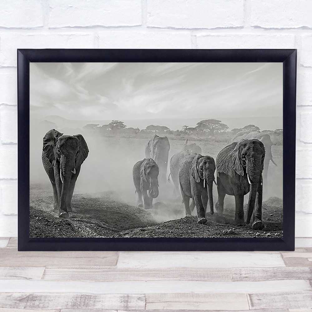 Sequence Of Emotion Nature Animal Wildlife Dust Kenya Elephant Art Print